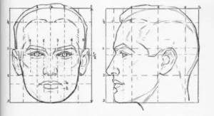 modèles de proportion dessin Andrew Loomis