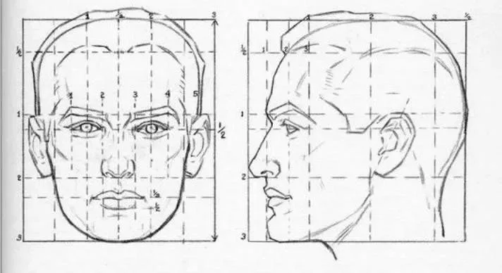 modèles de proportion dessin Andrew Loomis