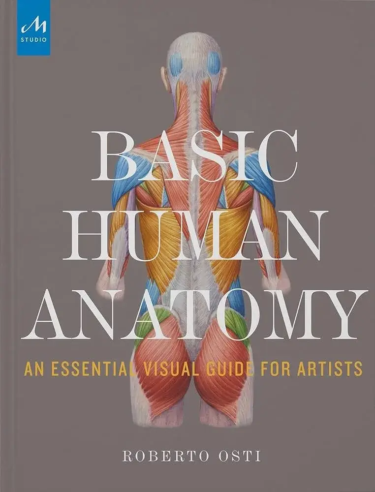 basic human anatomy