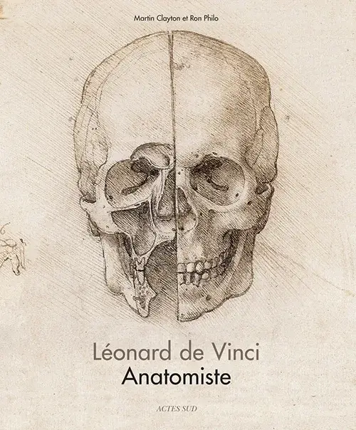 anatomie de l'homme léonard de vinci