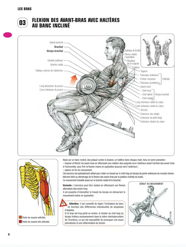 anatomie artistique