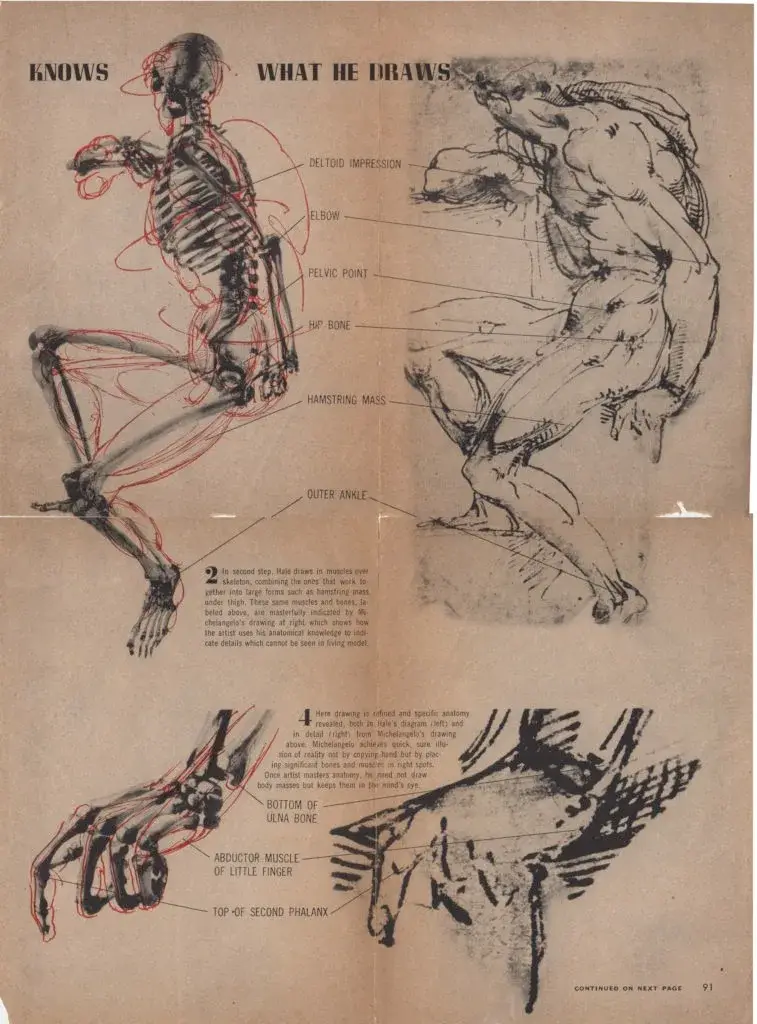 leçons d'anatomie d'après les maîtres Robert beverly Hale