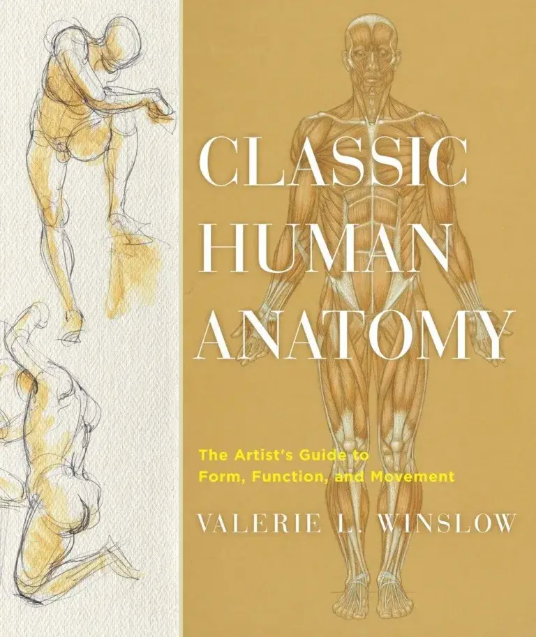 Classical human anatomy Valerie Winslow